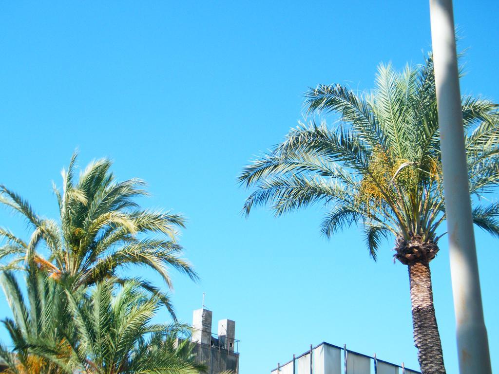 Appartamento Vacanze I Provenzali 보르디게라 외부 사진